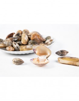 Sample Product