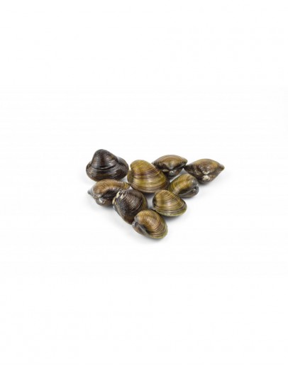 Sample Product
