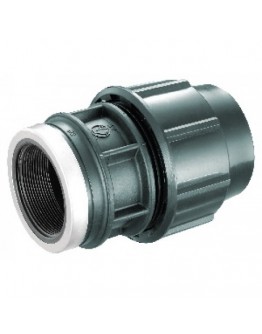 HDPE Poly Fittings Female Threaded Adaptor 50mm