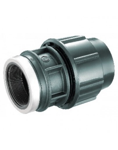 HDPE Poly Fittings Female Threaded Adaptor 50mm